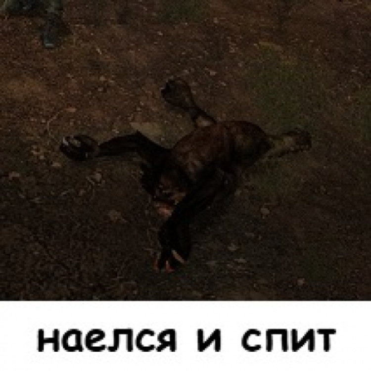 аыв.png
