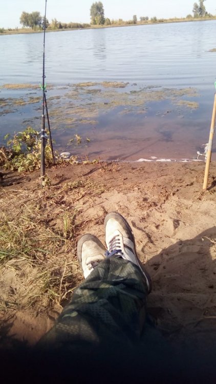 WhatsApp Image 2019-09-01 at 09.54.58.jpeg