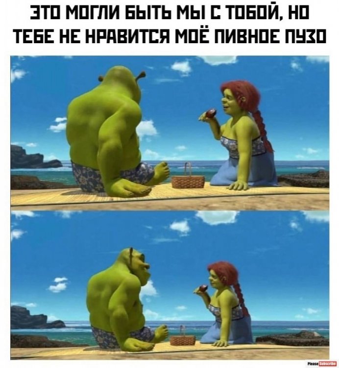 это могли бы быть мы с тобой но тебе не нравится мое пузо.jpg
