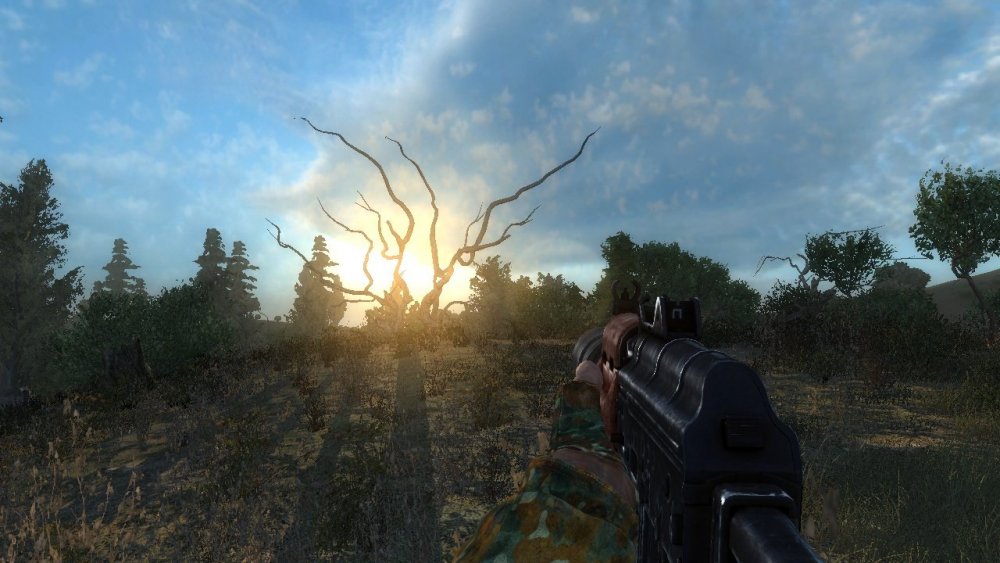 для отзыва.jpg