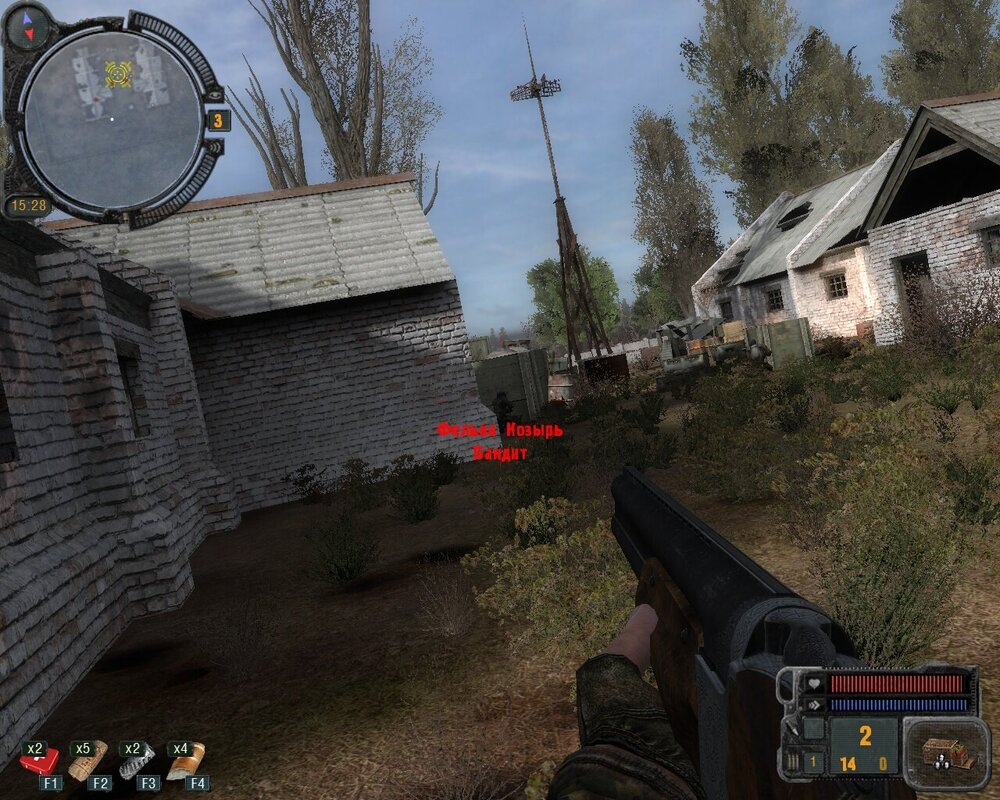 Два кабана.jpg