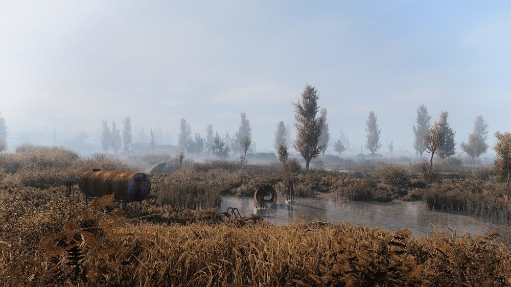 ss_Ирис Кис-Кис_09-03-23_16-10-10_(k00_marsh).jpg