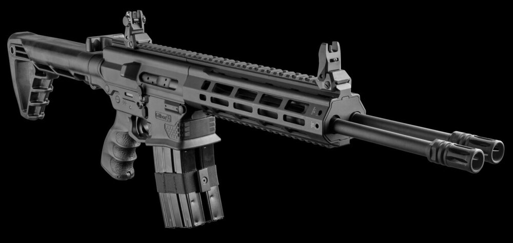 AR-15 Double Barrel.jpg