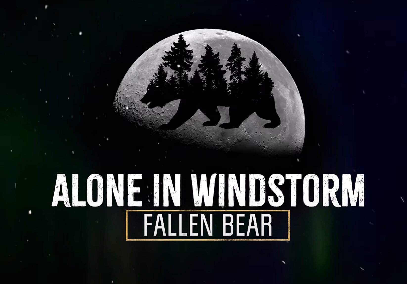 Alone in windstorm fallen bear