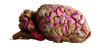 psydog_brain.png.564e7676cc711c6faf6d3f93b45fcc23.png