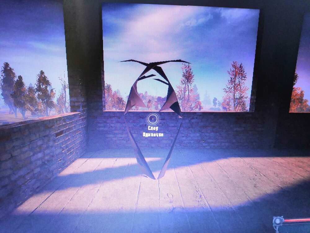 IMG_20240215_153107 (1) (2) (1).jpg