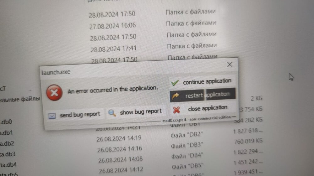 Изображение WhatsApp 2024-09-23 в 14.08.32_5870a2f8.jpg