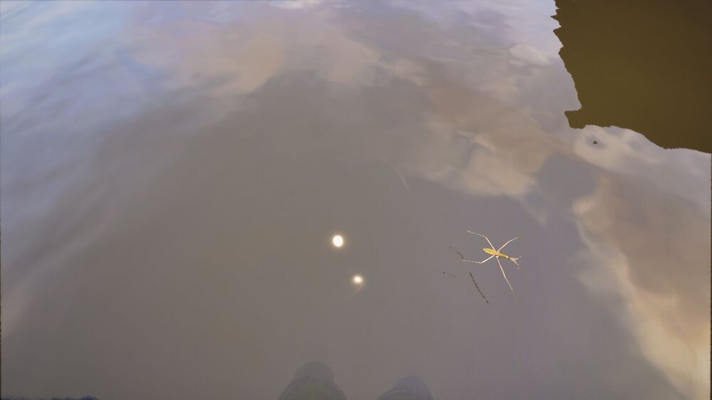 Stalker2-Win64-Shipping 2025-01-07 07-50-33.jpg