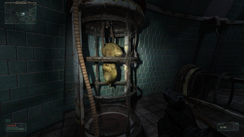 20250228175952_1 (Large).jpg