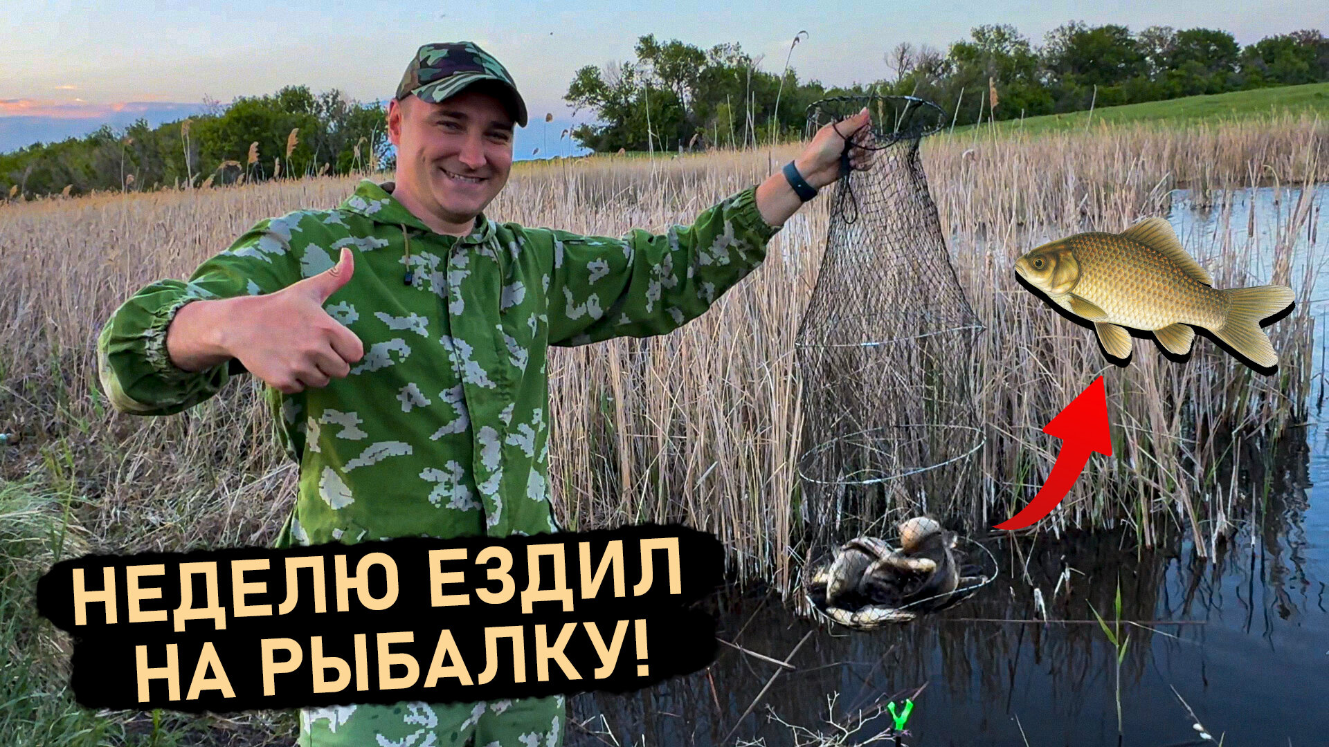 Отчёт Вульфа о рыбалке