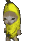 Vl_dsl_V