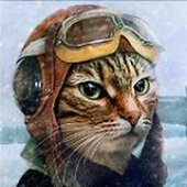 Pilot-T6