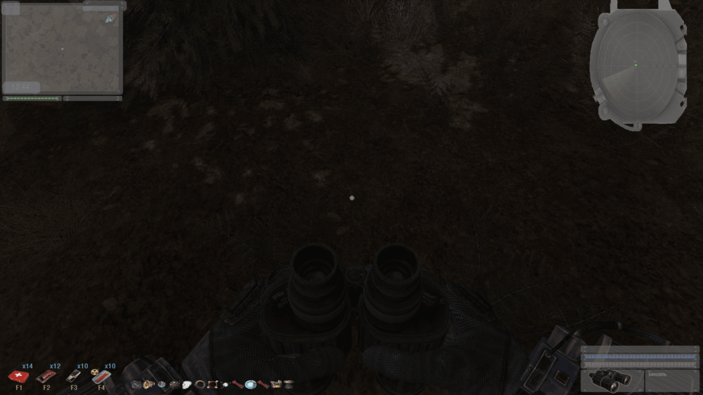 ss_fly_08-05-25_15-56-27_(red_forest) (1).png