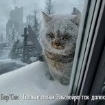 Слонкер