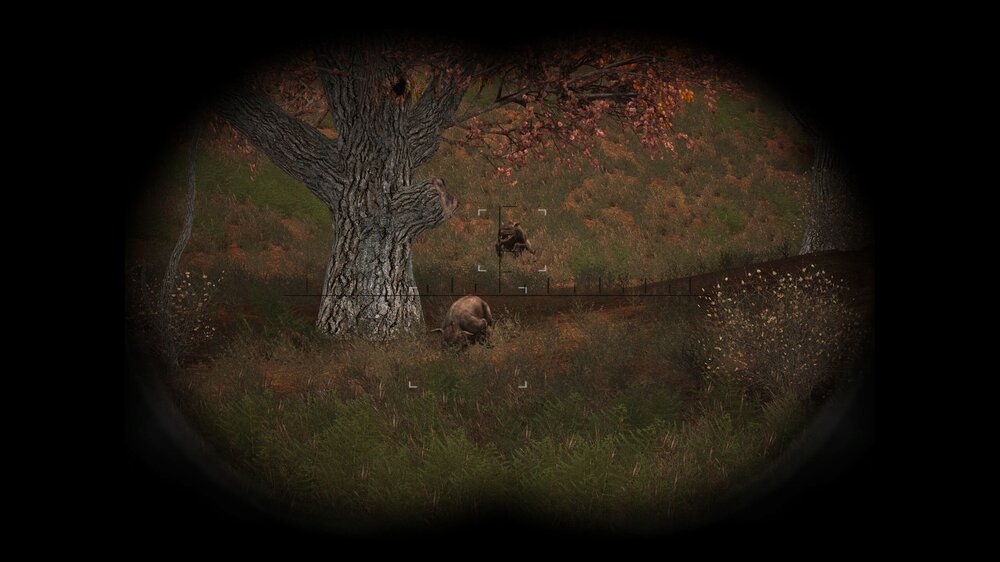 Stalker - Gran Screenshot 2025.08.09 - 10.22.19.17.jpg