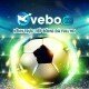 ttbongvebotv