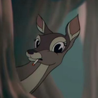 nihtwolt