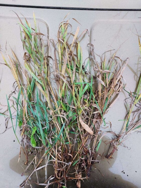 8v4qgA-e0RufMQgrNw2nm1MZIdf4PKTCYBFI4NznGwIIuWdOHbpYC_H_PtLWs8ABhTX-d9R6eOG - v7WI0kh_R5y.jpg