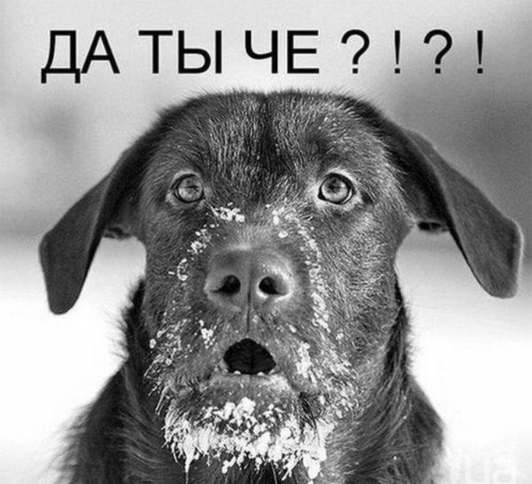 16.jpg.b5a2453f95995e4c4c71e5e9b27c486c.jpg
