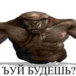 Polterbui