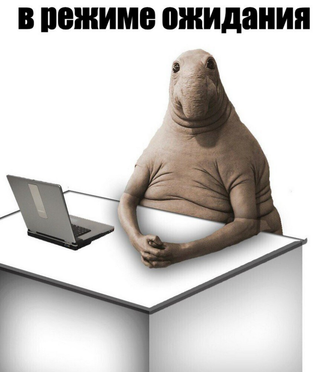 224891174_-.thumb.png.a4e7daa55ca34bb74da5c927e8beccea.png