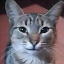 Миланн