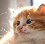 image.png.cce8aa496e8512730126aaf803d3909b.png.98a66b06d56057843131cd4601ca1ac1.png