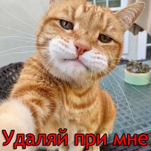 45856921.png.a7b5af20abdd1fb162e2c5aa4559d3c2.png