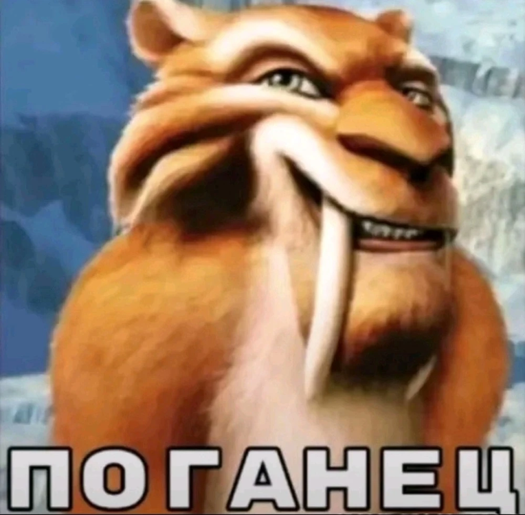 image.thumb.png.12a52b9176963b7f91e27b9621039120.png