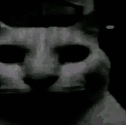 image.png.2cada6626bf598e9d596b33410ece1d8.png